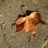 DSCF0110