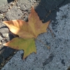 DSCF0112