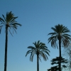 DSCF0113