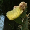 DSCF0009