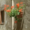 DSCF0019