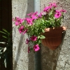 DSCF0020