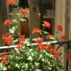 DSCF0021