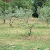 DSCF0025