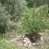 DSCF0030