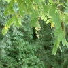 DSCF0033