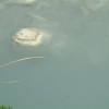 DSCF0040