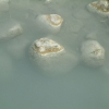 DSCF0041