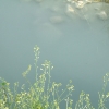 DSCF0042