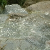 DSCF0045