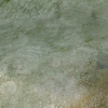 DSCF0046
