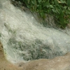 DSCF0047