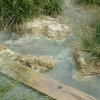 DSCF0049