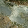 DSCF0050