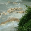 DSCF0054