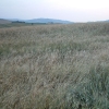 DSCF0068