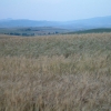DSCF0072