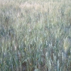 DSCF0073