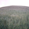 DSCF0074
