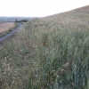 DSCF0075