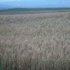 DSCF0077