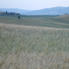 DSCF0080