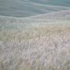 DSCF0081