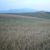 DSCF0082