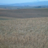 DSCF0086
