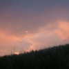 DSCF0091