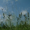 DSCF0069