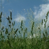 DSCF0070