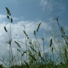 DSCF0071