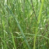 DSCF0072