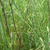 DSCF0073