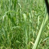 DSCF0074