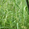 DSCF0075