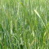 DSCF0076