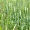 DSCF0077