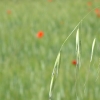 DSCF0082