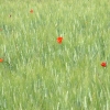 DSCF0083