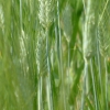 DSCF0085