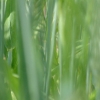 DSCF0088