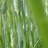 DSCF0091