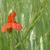 DSCF0093