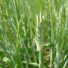 DSCF0095