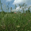 DSCF0100