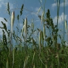 DSCF0101