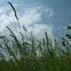 DSCF0102