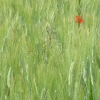 DSCF0112